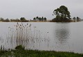 Biscarrosse (Gironde) Mars 2011 Etang, lac, biscarrosse, gironde, aquitaine 